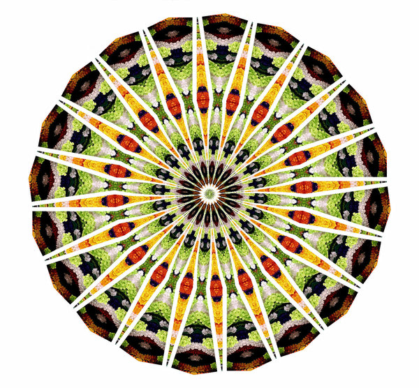 coral colour wheel