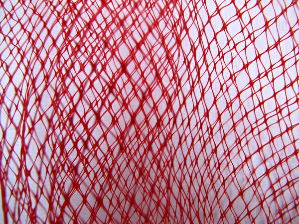 enmeshed in red
