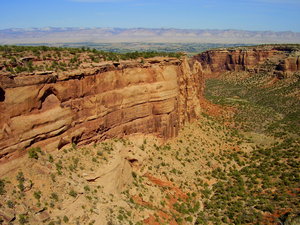 Colorado National Monument: Some shots of Colorado National Monument out in western CO. September 2010.