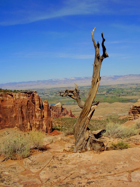 Colorado National Monument