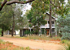 homes amongst the trees: rural homes amongst bushland trees