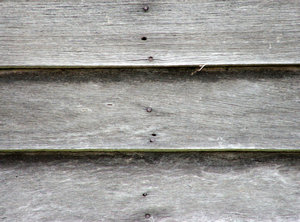 weathered grey boards