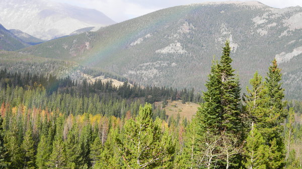 Rocky Mountain Rainbow