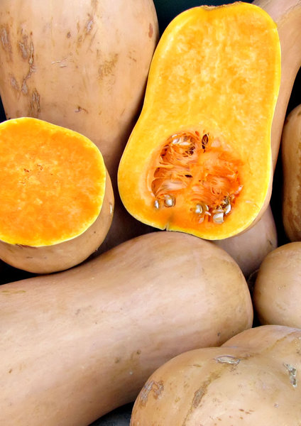 butternut pumpkins: various shapes and sizes of butternut pumpkins - squashes