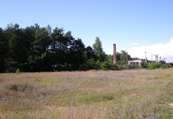 Factory meadow