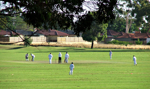 suburban cricket game