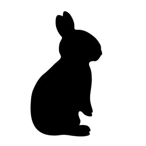 rabbit: made this in Adobe Illustrator