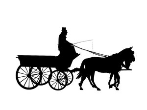 silhouette horse drawn carriag