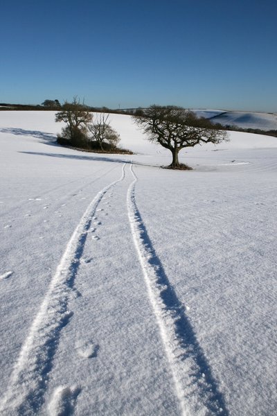 Tracks: Tractor tracks in a snowy field in Devon, England.