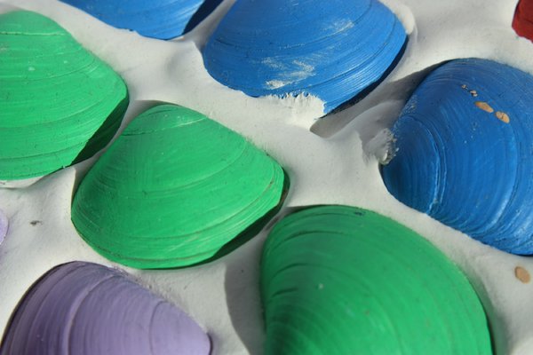 Coloured shells