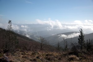 Fog & mountain levels