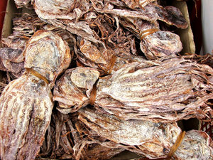 dried squid: bundles of flattened dried squid