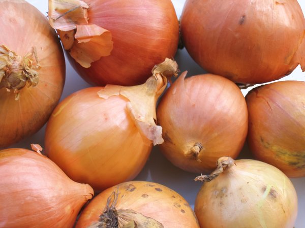 organic onions 2