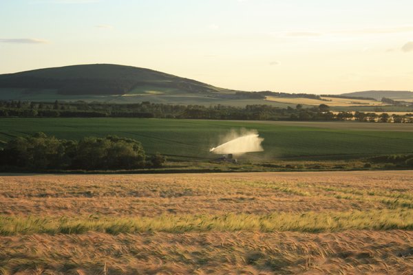 Rural landscape: Watering the fields
