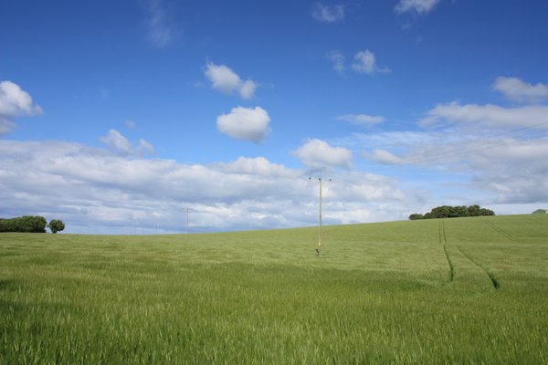 Field: View of a field