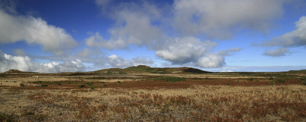 Grassy plateau