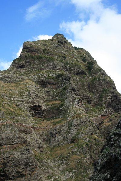 Madeiran mount