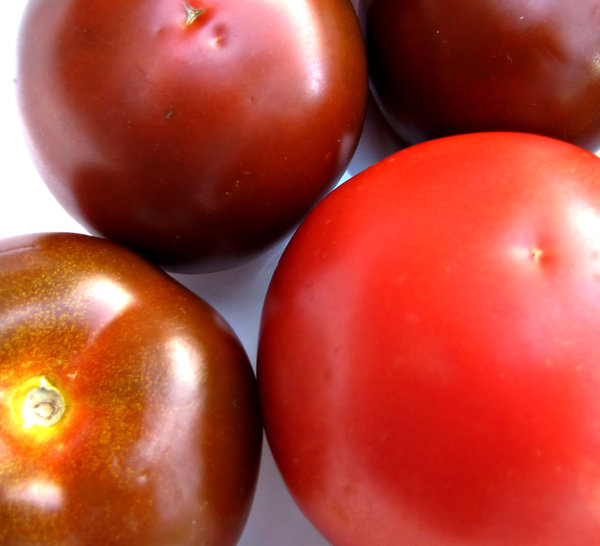 red and black tomatoes