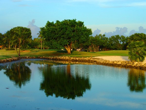 Golf and Lunch : Golfing and Lunch in Florida 