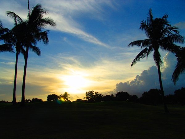 Golfing at Twilight