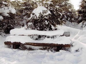 snowy bench: snowy bench