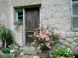 cottage entrance: cottage entrance