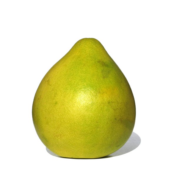 the biggest citrus: fresh pomelo