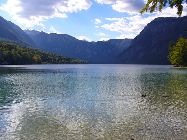 Lake Bohinj, Slovenia 2