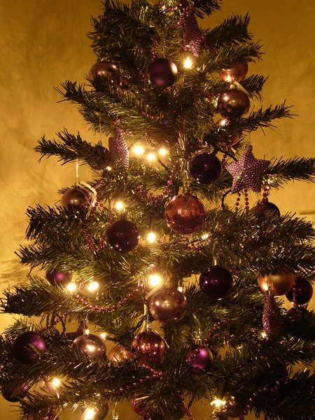 Graham's Christmas Tree 8