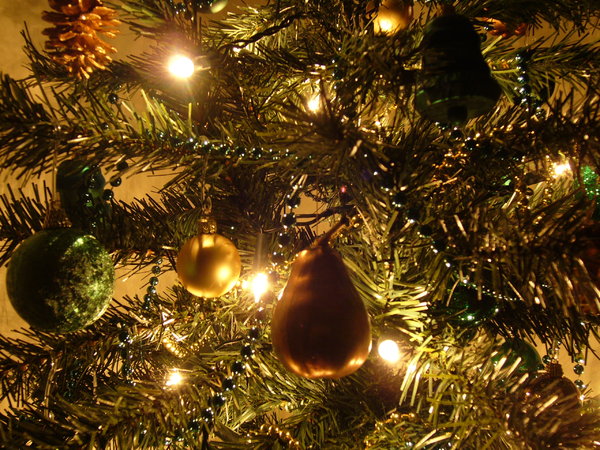 Graham's Christmas Tree 12