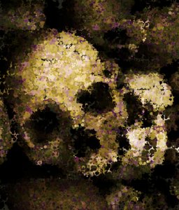 Skull 2: An abstract skull made from a public domain image. Quite scary.