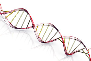 Cząsteczka DNA 3
