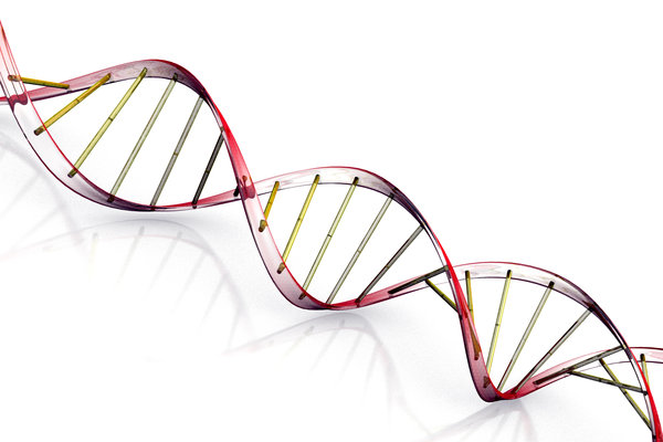 DNA molecule 3