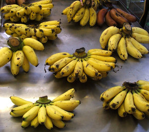 banana bunches