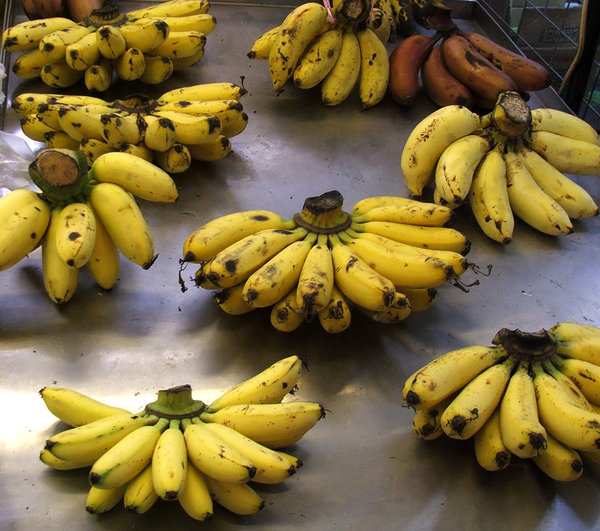 banana bunches: market table with bunches of yellow ripe bananas