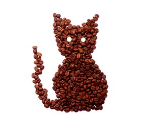 Kaffee-Katze: 