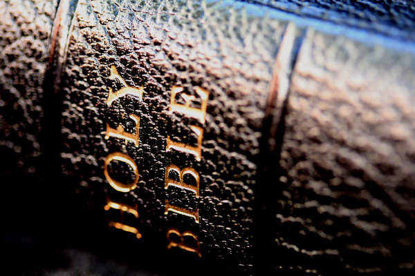 biblia - columna vertebral negro: 