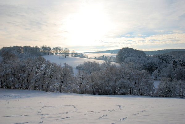 winter landscape: winter landscape