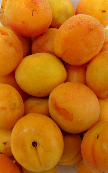 apricot orange