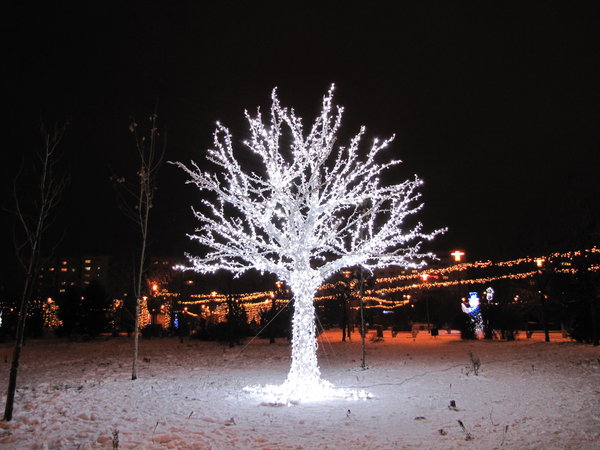 light tree