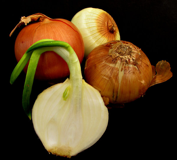 Onions Free Stock Photos Rgbstock Free Stock Images TACLUDA 