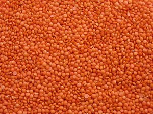 organic orange lentils texture