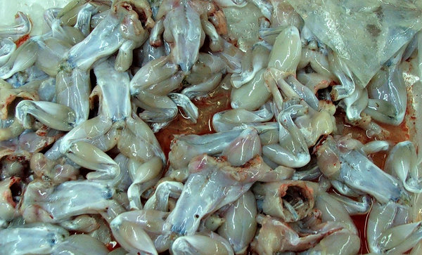 Digital Finance Outreach