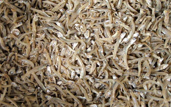 dried white bait