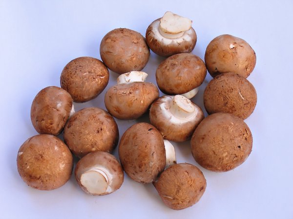 organic mushrooms 3