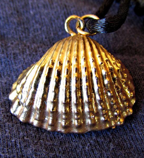 gold shell