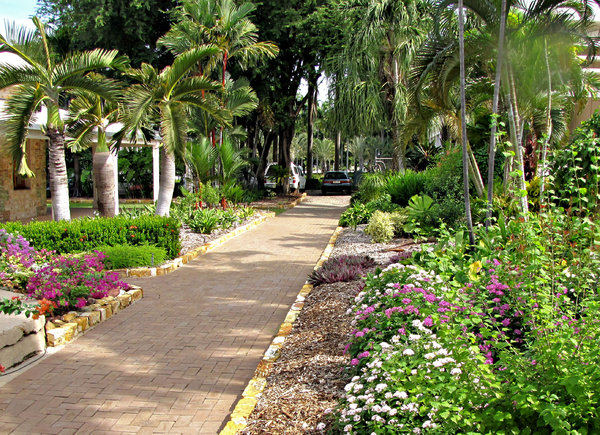 garden path: path in a tropical garden