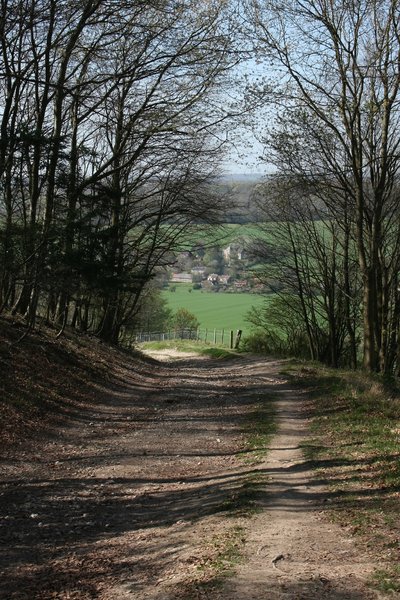 Path to the village