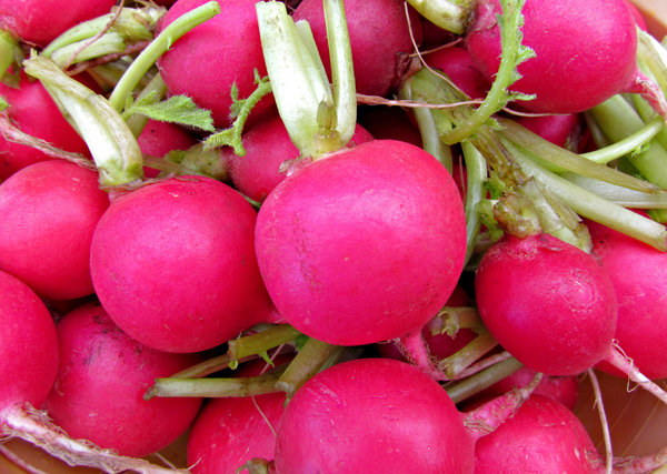round red radishes: 