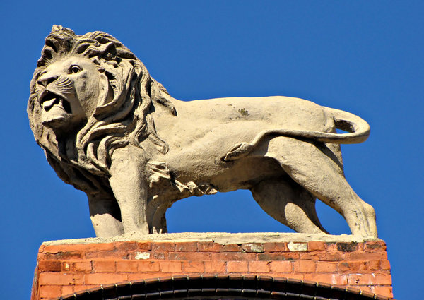 ornamental rooftop lion
